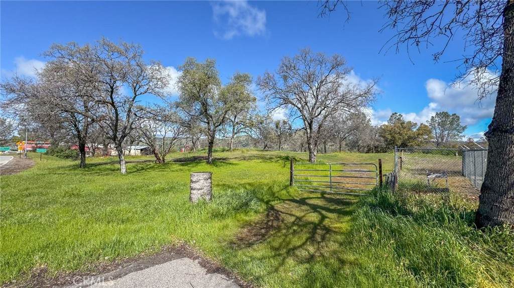 29645 Auberry Road - Photo 1