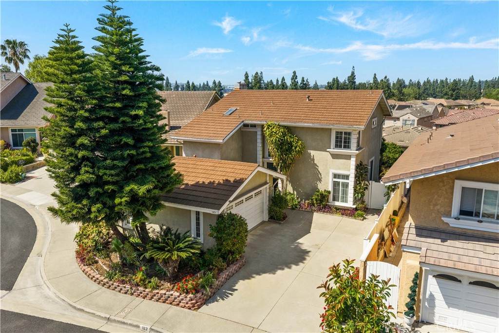 163 Saddle - Photo 1