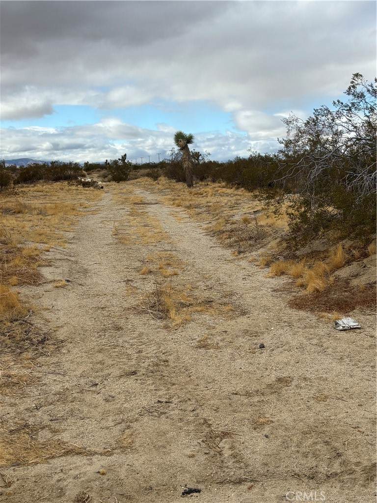 https://bt-photos.global.ssl.fastly.net/socal/orig_boomver_1_423874268-3.jpg