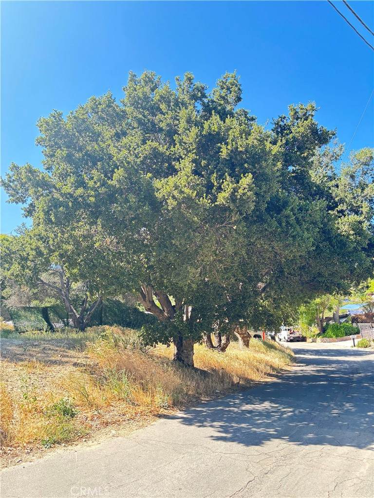https://bt-photos.global.ssl.fastly.net/socal/orig_boomver_1_424014488-2.jpg