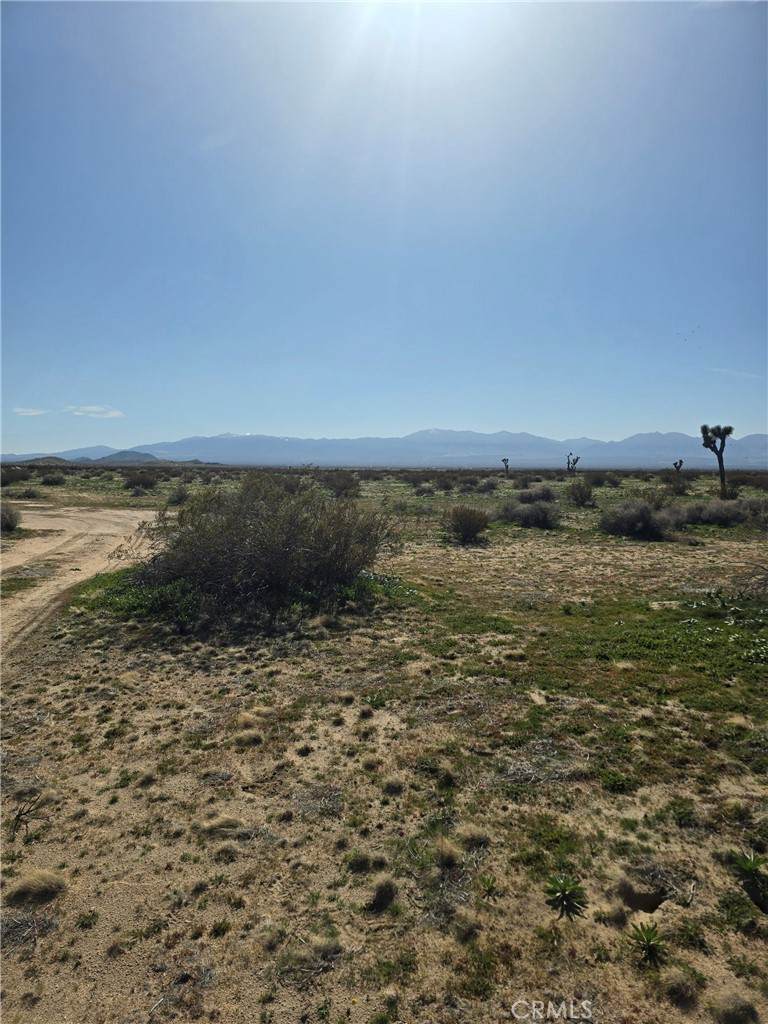 200 Avenue M-4 - Photo 1
