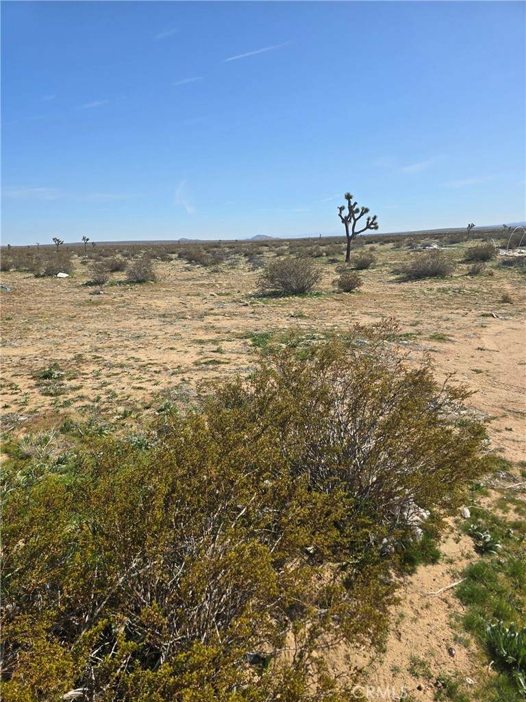 https://bt-photos.global.ssl.fastly.net/socal/orig_boomver_1_424014508-2.jpg