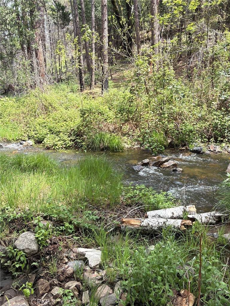 39 Anderson Valley Road - Photo 1