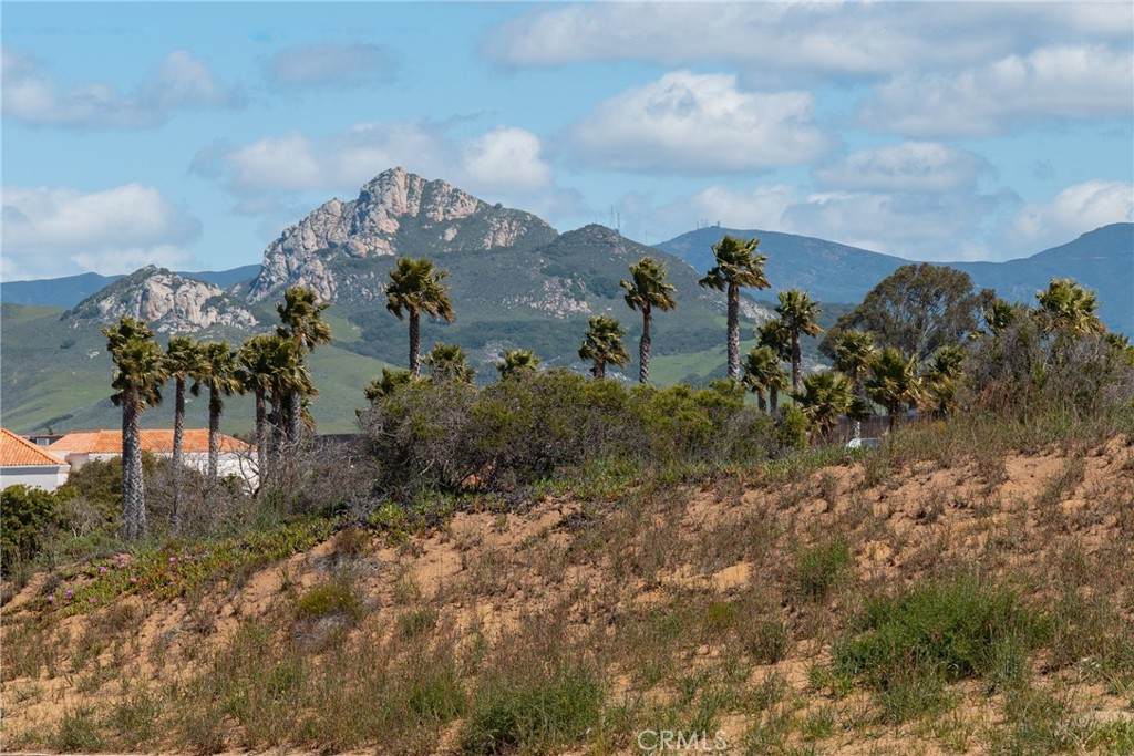 1110 Bay Oaks - Photo 1