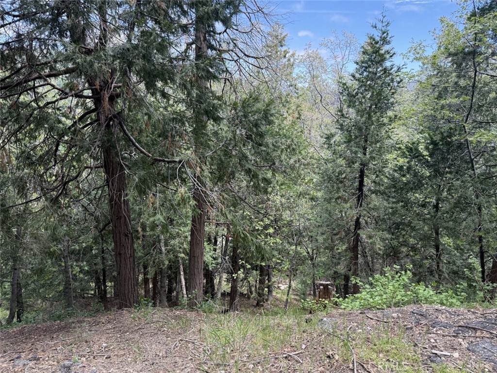 0 Alpine Court - Photo 1