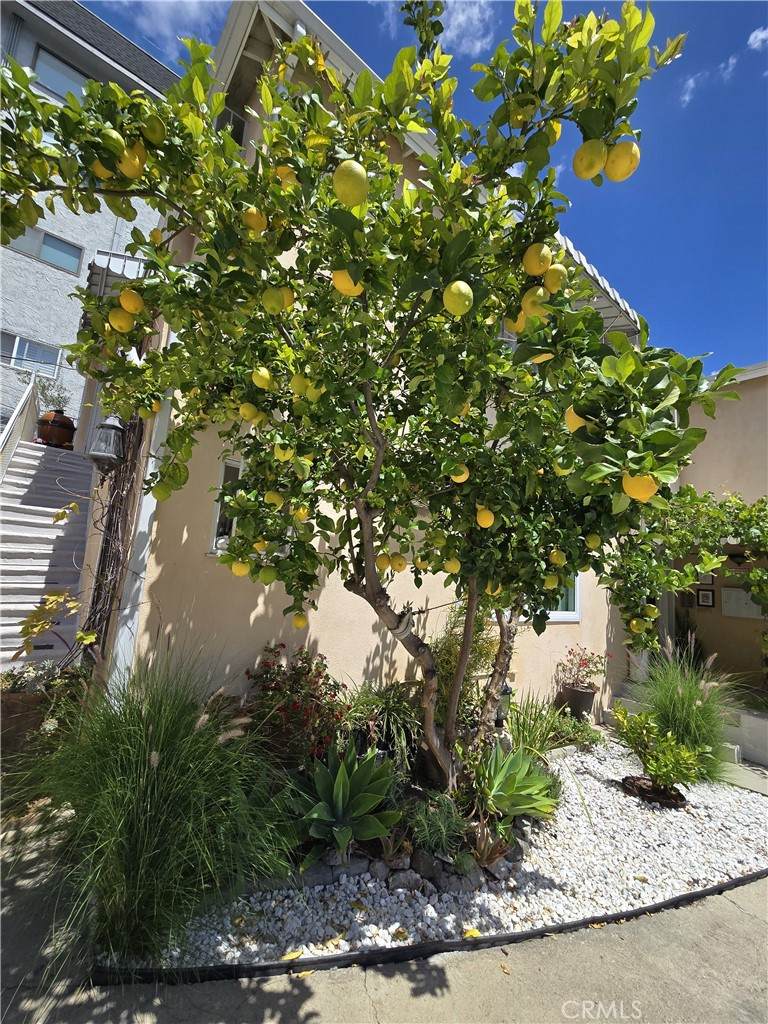 https://bt-photos.global.ssl.fastly.net/socal/orig_boomver_1_426440964-2.jpg