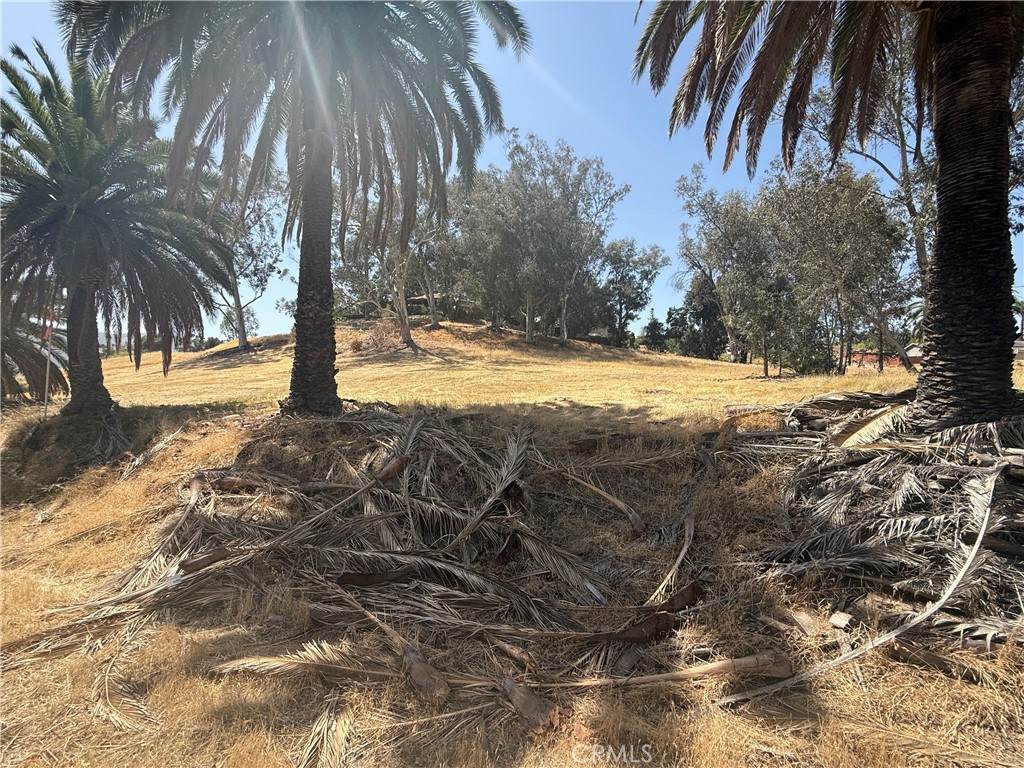 16688 Gunnerson - Photo 1