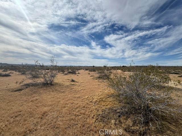 0 Artesia - Photo 1