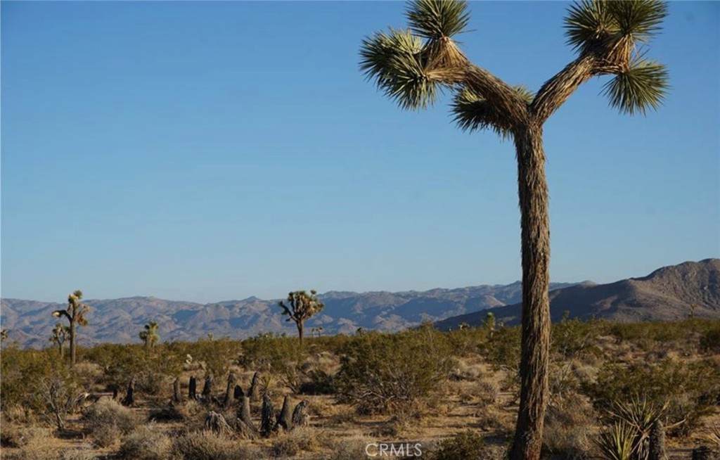 https://bt-photos.global.ssl.fastly.net/socal/orig_boomver_1_426641609-2.jpg