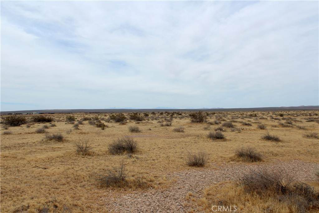 0 Off Highway 58 - Photo 1