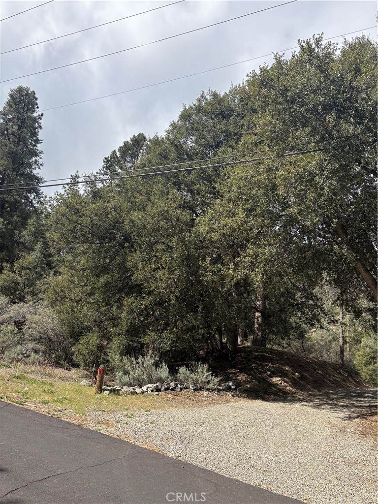 1709 Zion - Photo 1