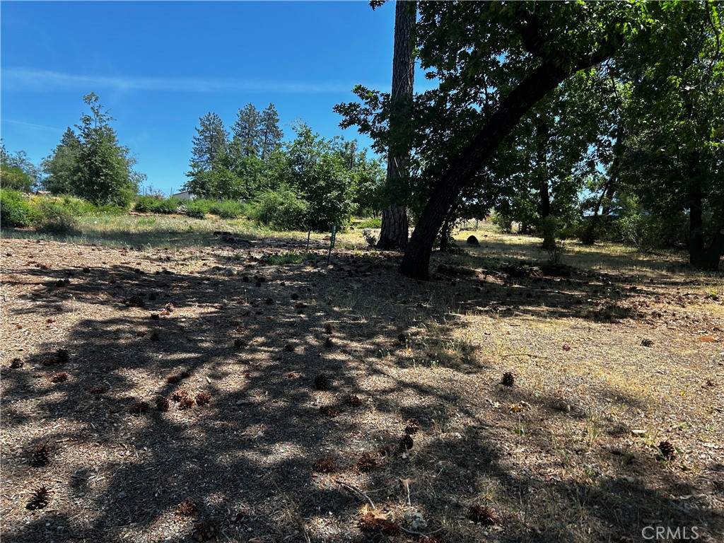 6272 Berkshire - Photo 1