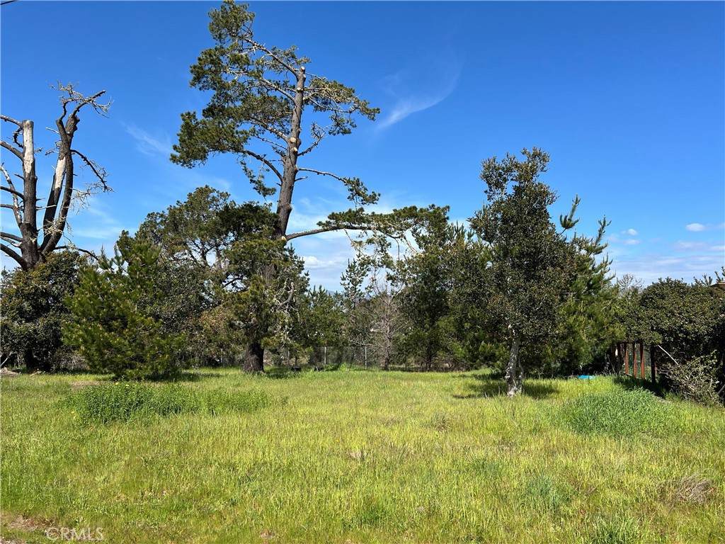 2540 Malvern Street - Photo 1
