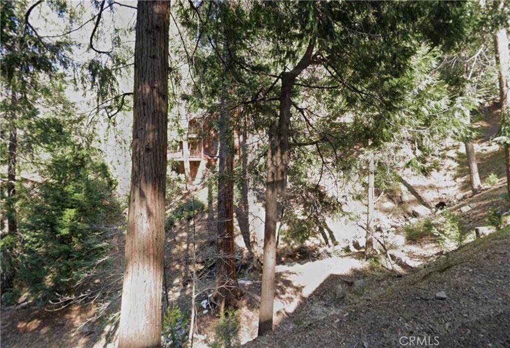 24148 Cresta - Photo 1