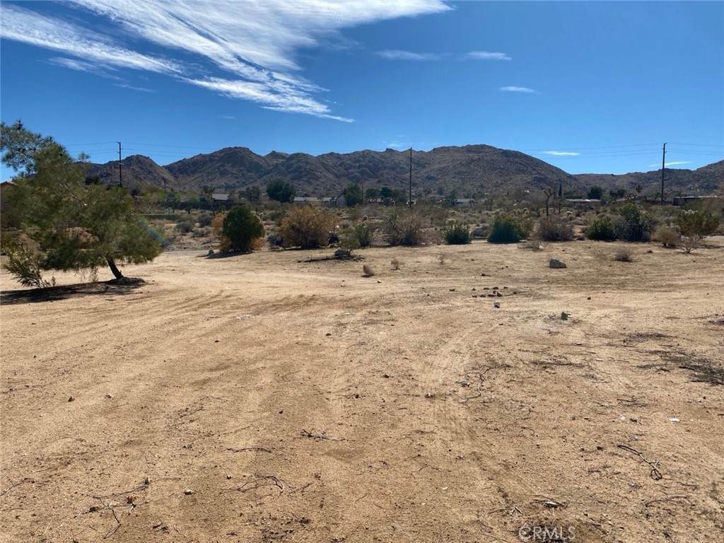 60450 Alta Mesa Drive - Photo 1