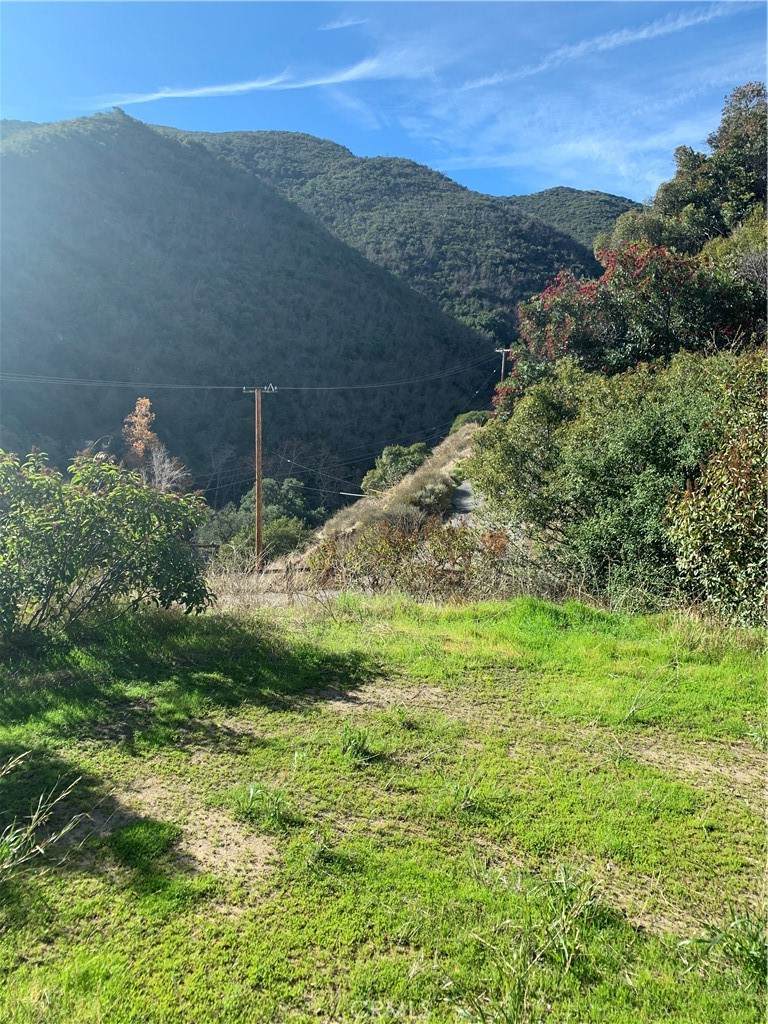 30409 Silverado Canyon Road - Photo 1