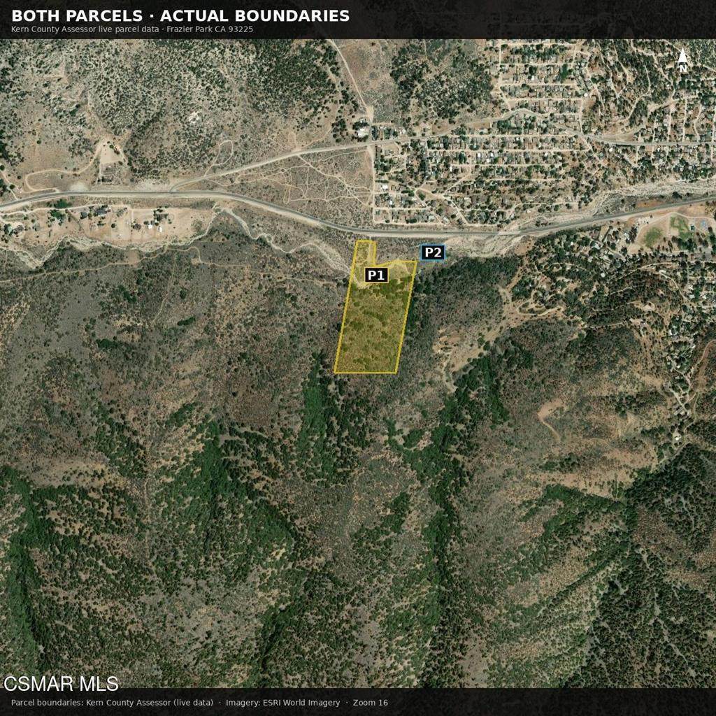  Frazier Mountain Park Road - Photo 1