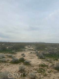 0 0 - Photo 1