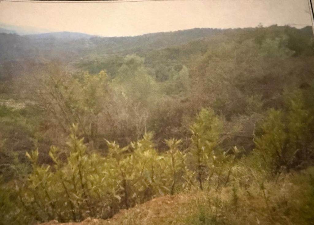 0 Croy Ridge Road - Photo 1