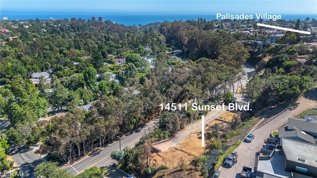 14511 Sunset Boulevard - Photo 1