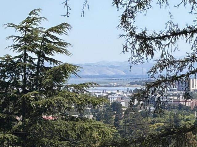 https://bt-photos.global.ssl.fastly.net/socal/orig_boomver_1_428649020-2.jpg