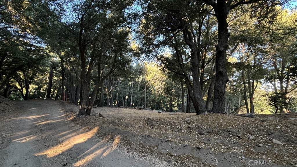 722 Mojave River Road - Photo 1
