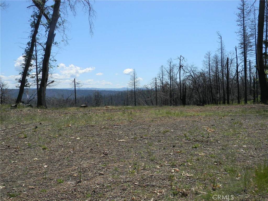 264 Resources Lane - Photo 1