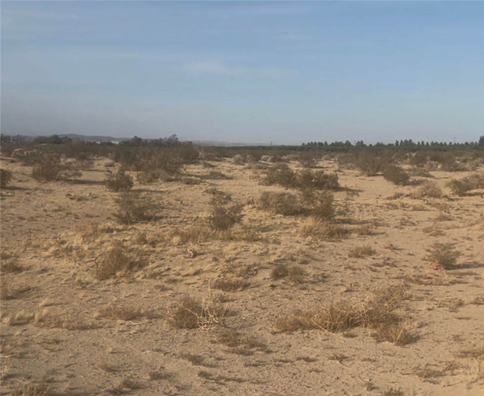 40626 Valley Center - Photo 1