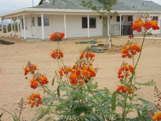 62323 Mars Drive - Photo 1