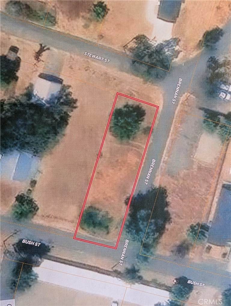 21306 Bush - Photo 1