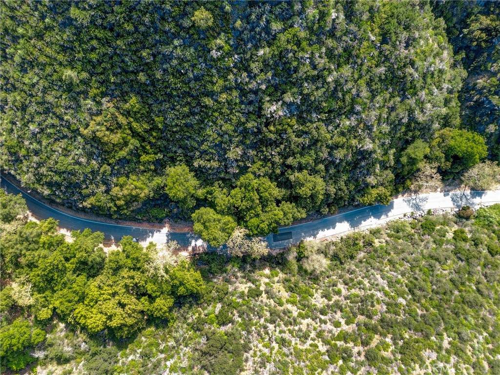 0 Paseo Chaparro - Photo 1