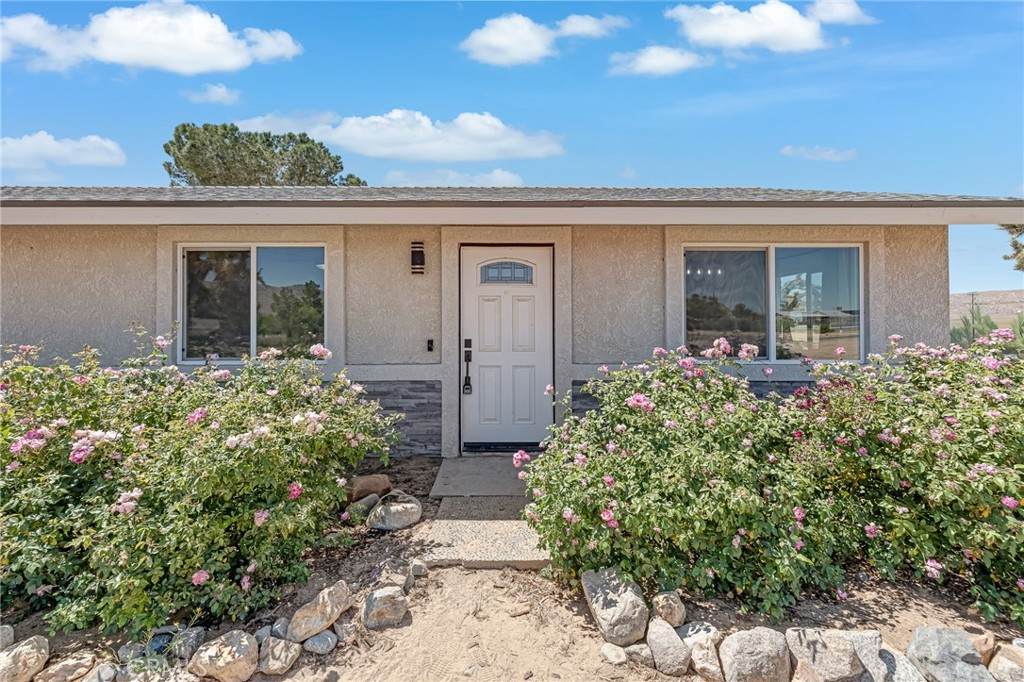 25811 Del Sol - Photo 1