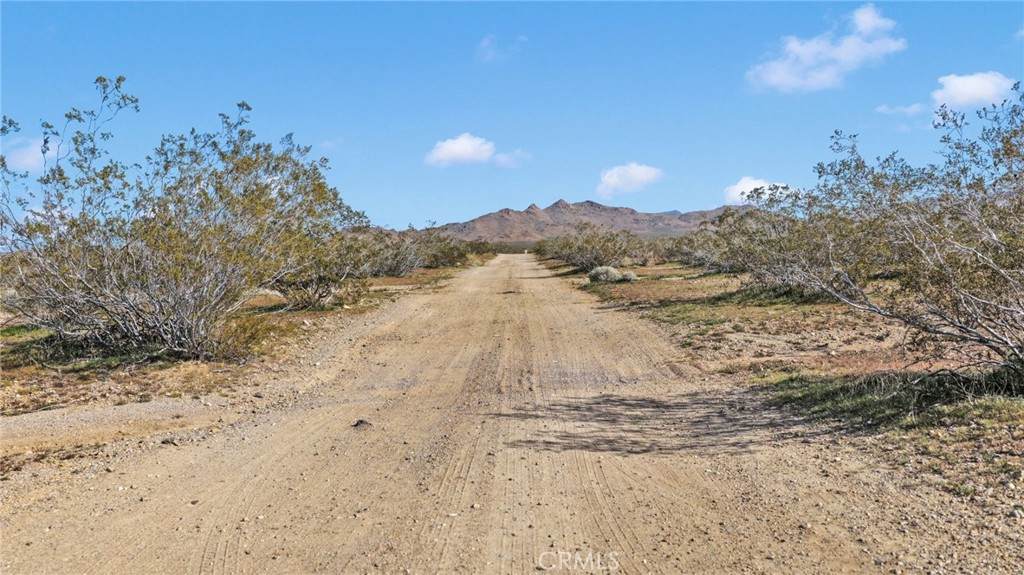 11 Highway 247/Brack Rd - Photo 1