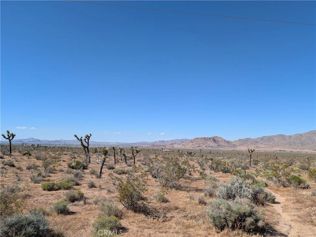 0 0 - Photo 1