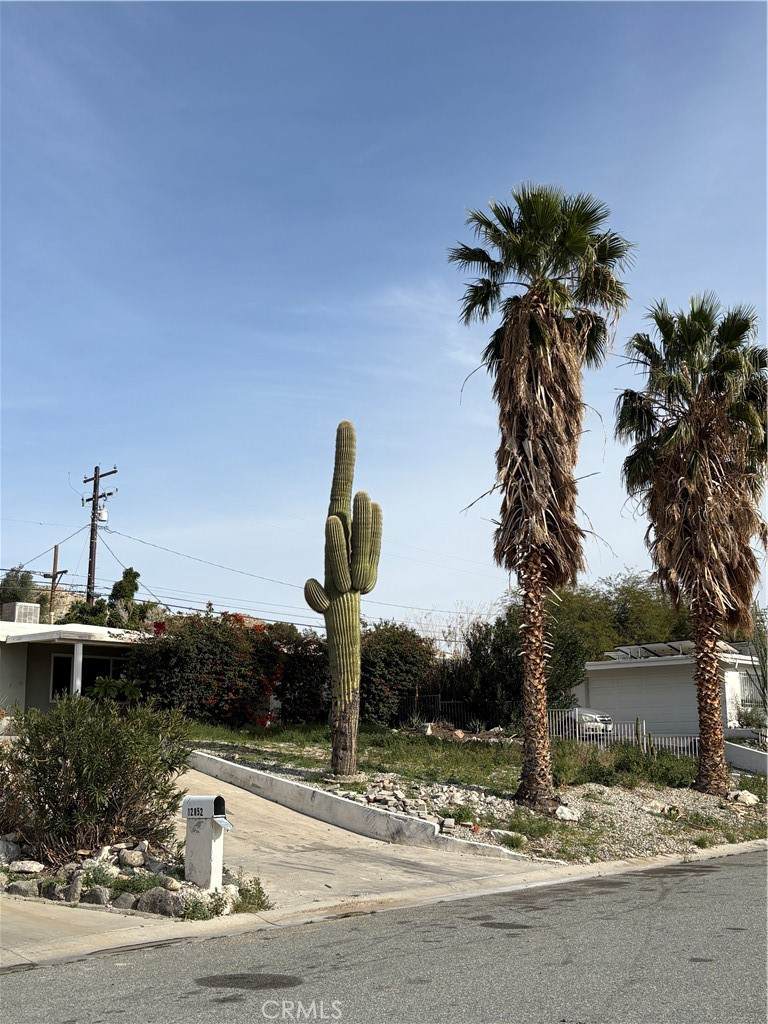 12852 Catalpa - Photo 1