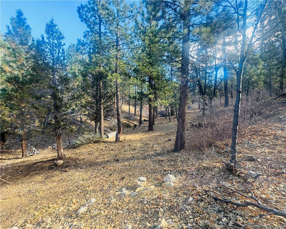 899 Kern Avenue - Photo 1