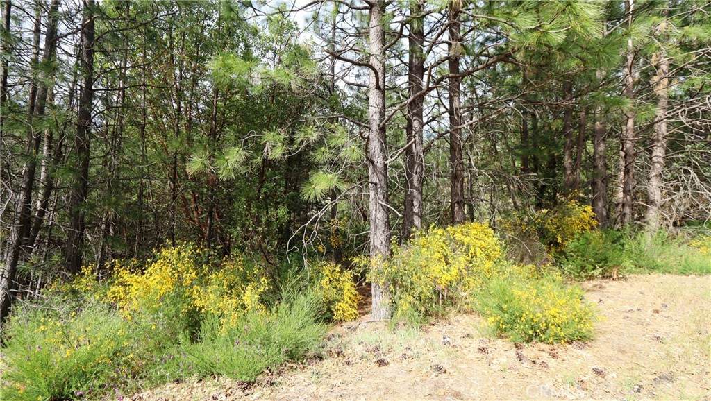 9072 Fox Drive - Photo 1