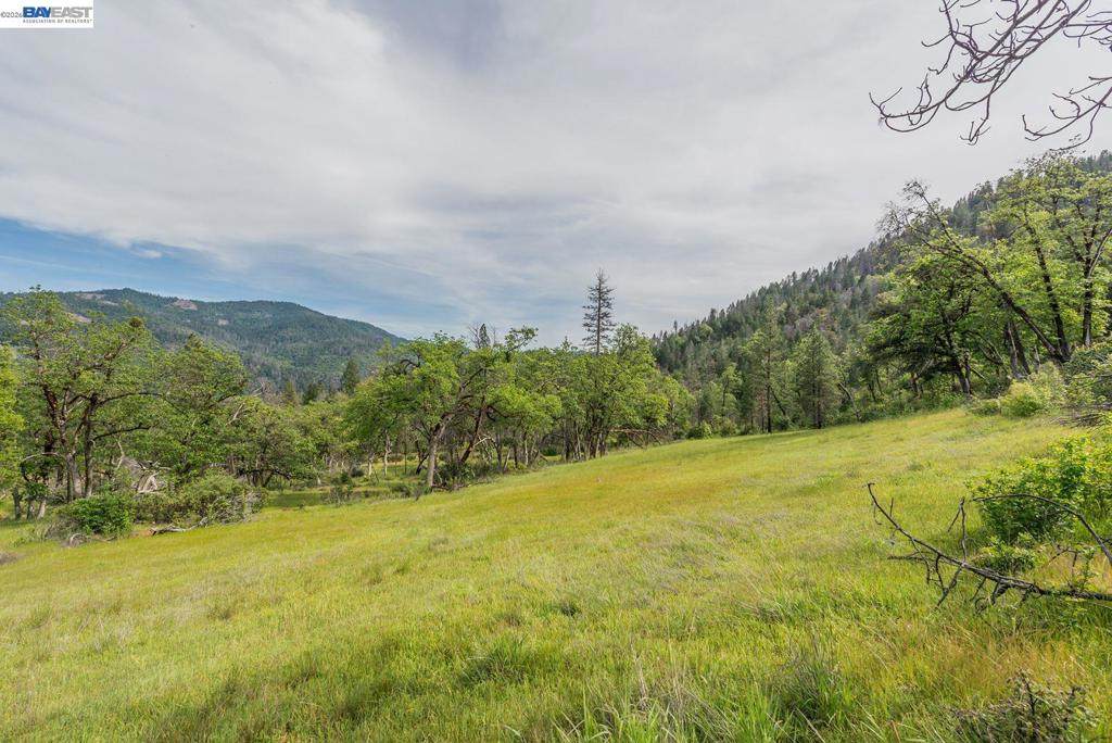 1780 Dutch Creek Rd - Photo 1