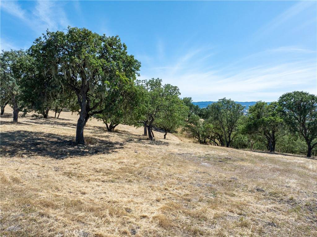 https://bt-photos.global.ssl.fastly.net/socal/orig_boomver_1_430362293-2.jpg