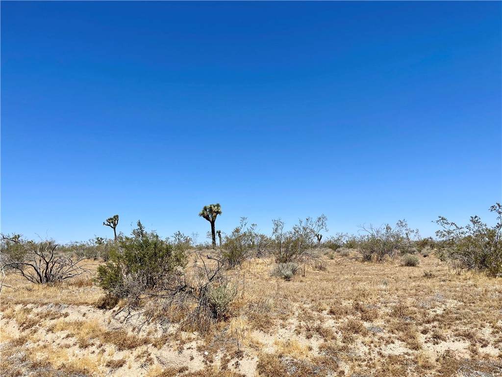 0 Nevada Rd. - Photo 1