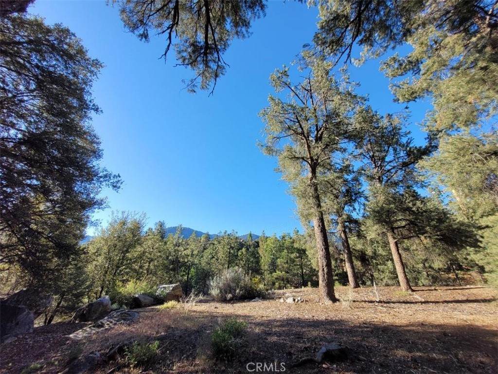 15913 Wildwood Drive - Photo 1