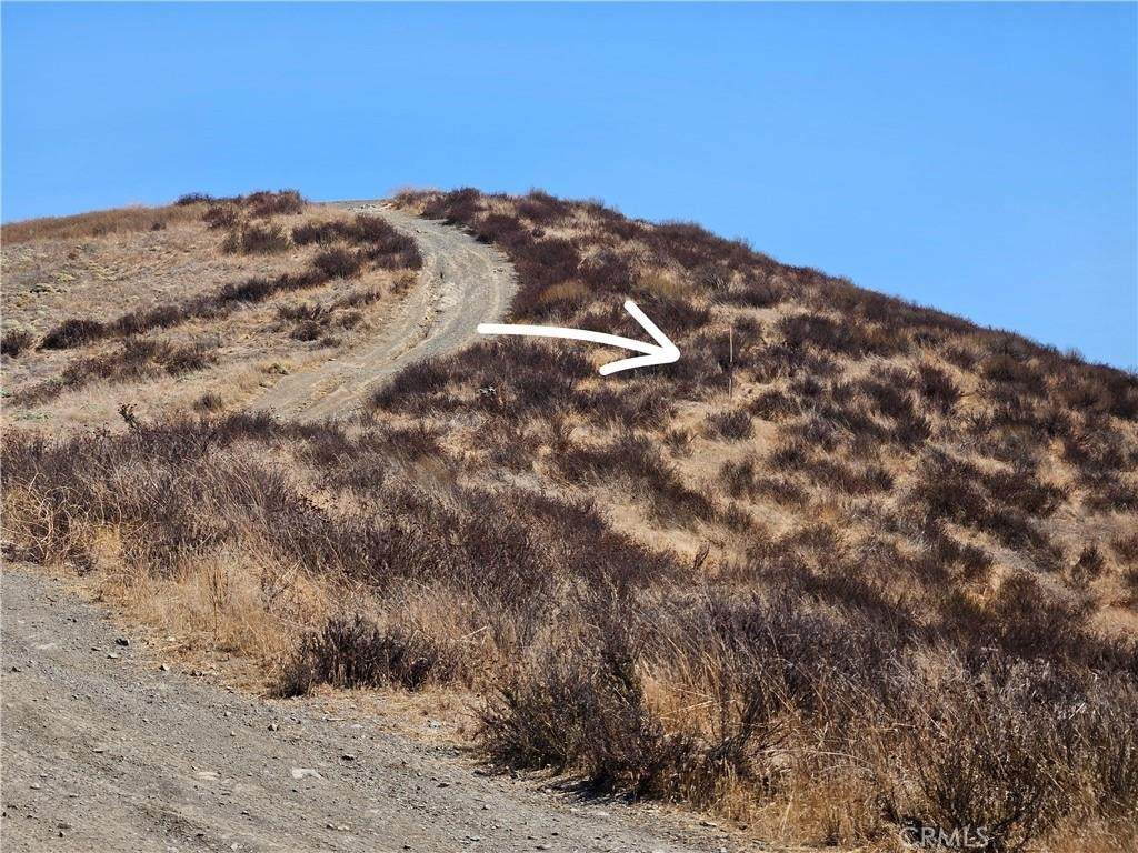 https://bt-photos.global.ssl.fastly.net/socal/orig_boomver_1_430590852-2.jpg