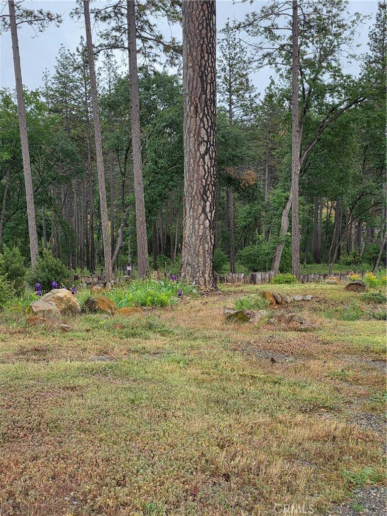 1684 Flicker - Photo 1