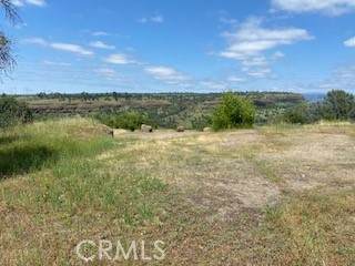 239 Eagle Nest - Photo 1