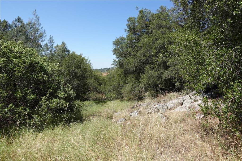 0 Running Deer Way - Photo 1