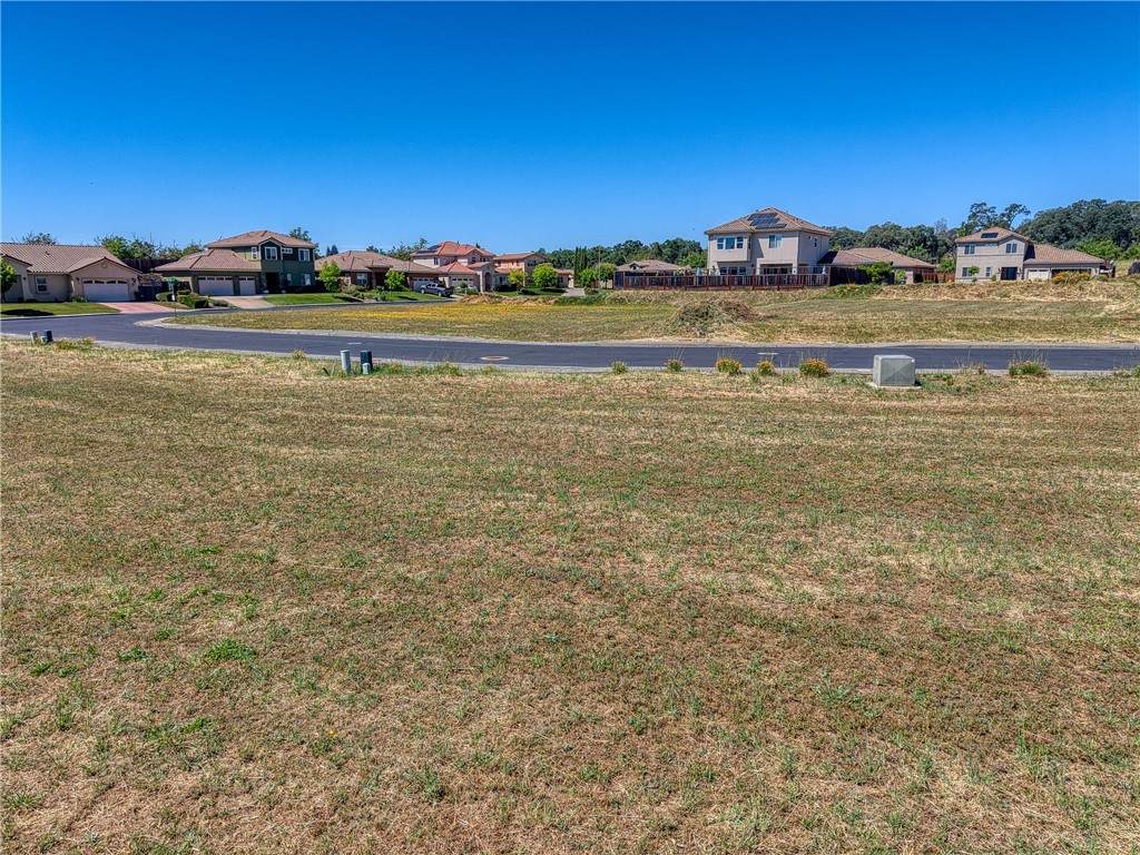 2770 Lizzy Lane - Photo 1