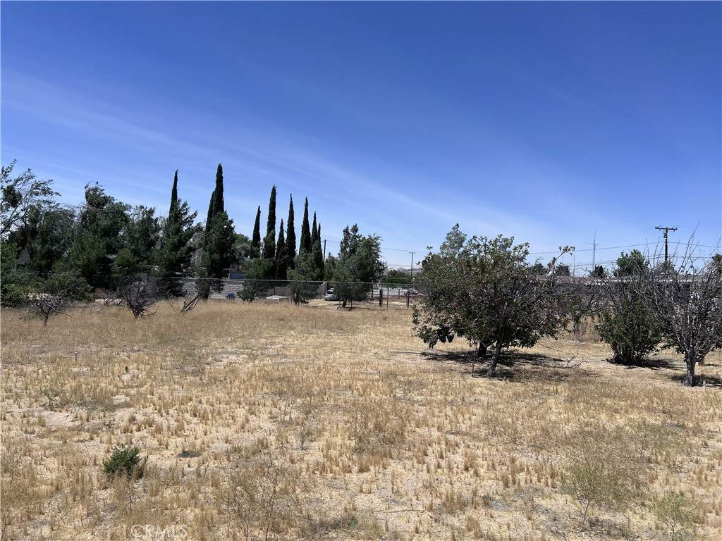 https://bt-photos.global.ssl.fastly.net/socal/orig_boomver_1_431060994-2.jpg