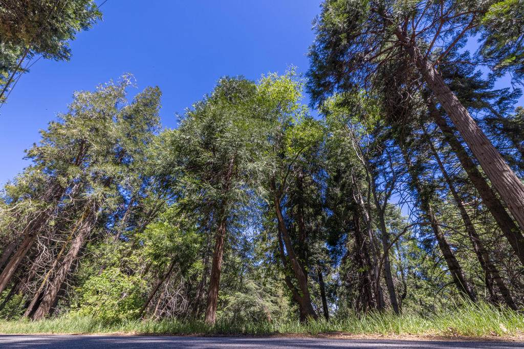 Lot 78 Cedar Pines Drive - Photo 1