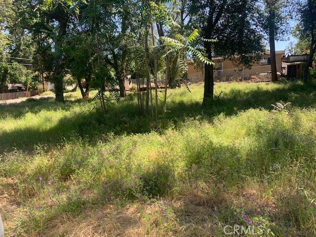 14245 Woodland - Photo 1