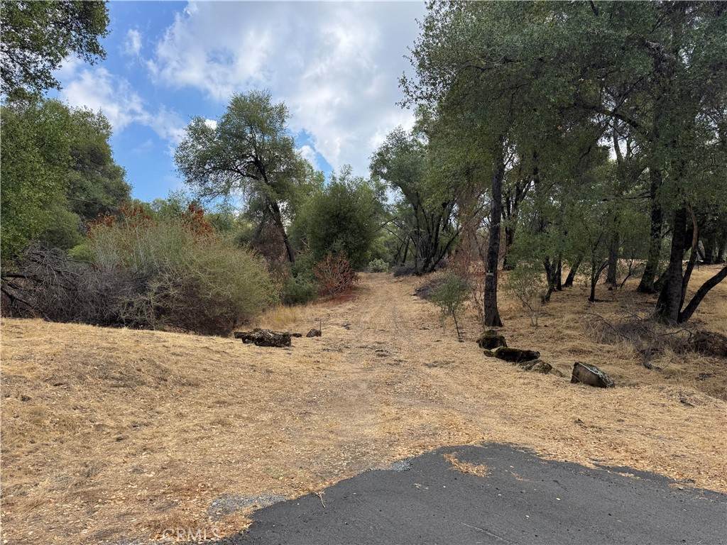 2 Ac Summerhill Ln - Photo 1